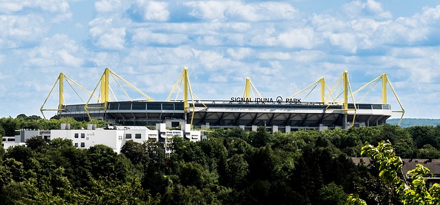 对于PSG